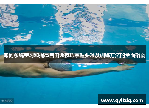 如何系统学习和提高自由泳技巧掌握要领及训练方法的全面指南